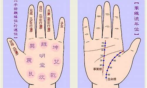 如何看手相图(如何看手相图解算命 女性)-易学网